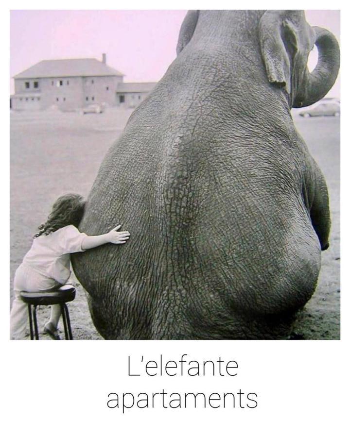 Elefante Pescara